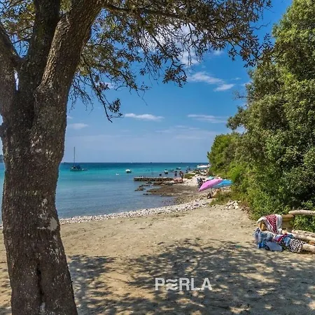 Holiday With Garden And Terrace Holiday home