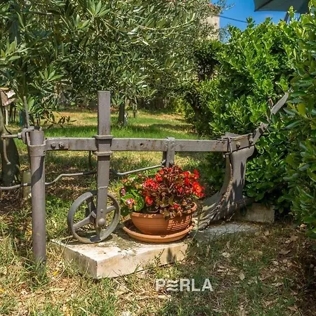 Holiday With Garden And Terrace Pula